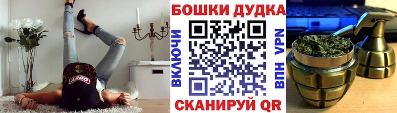Наркошоп купить КОКАИН  Альфа ПВП  Гашиш  Бошки Шишки  МЕФ  Лодейное Поле