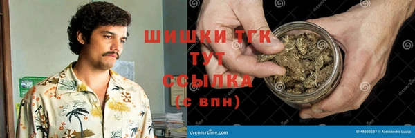 метадон Елизово