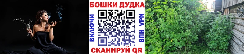 Купить где  Лодейное Поле  Канабис MAZAR 